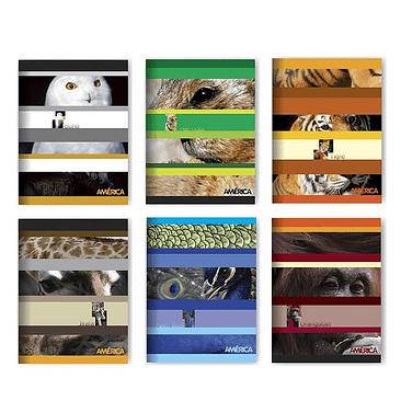 Cuaderno America T/f X24h Cuadriculado 1