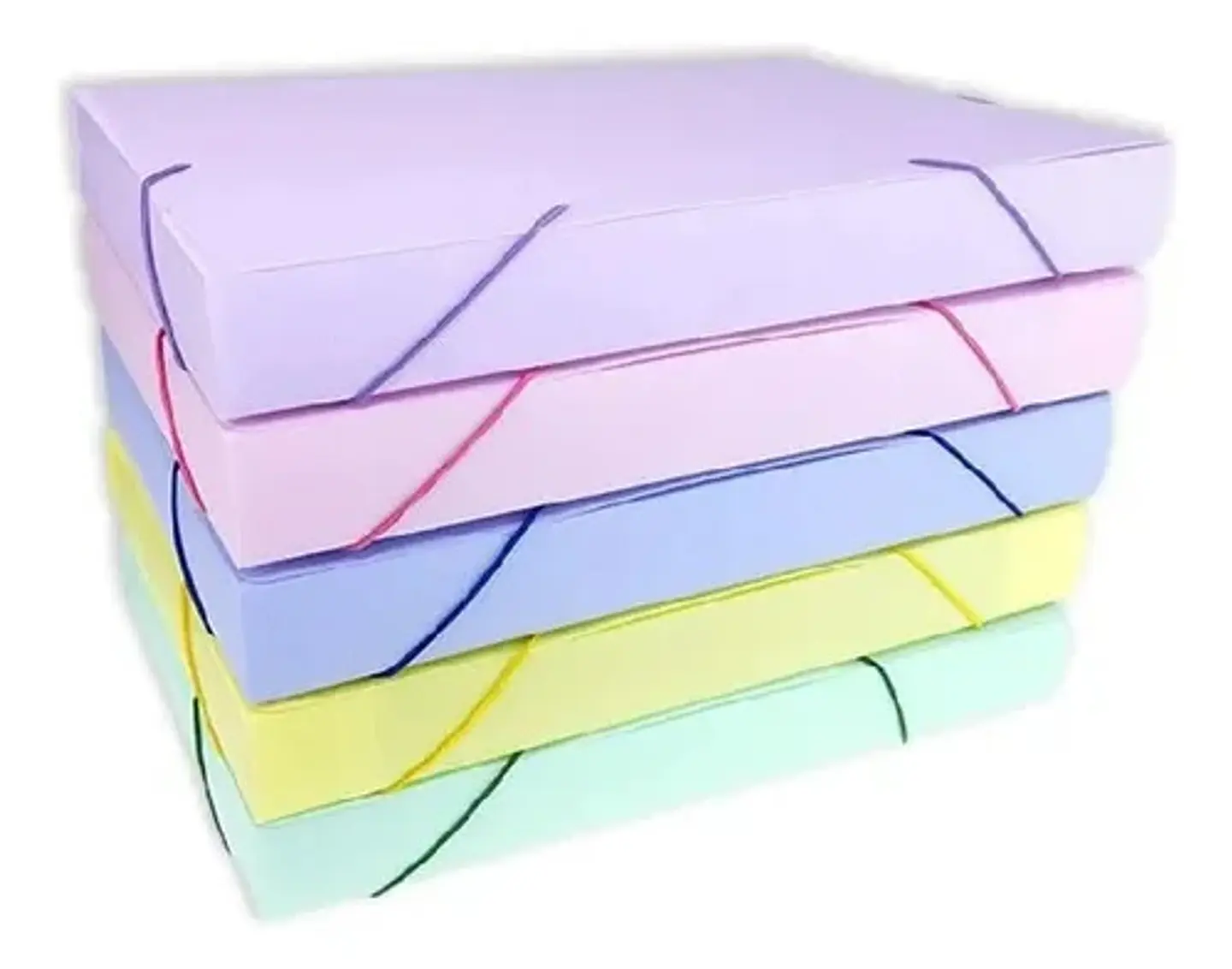 Caja Archivo Lama 6cm Pvc Pastel Oficio 1