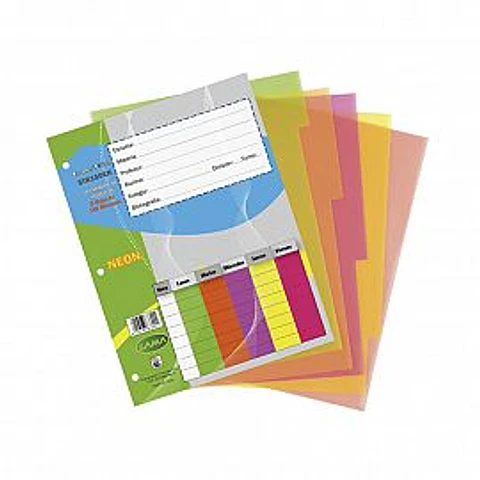 Separador Lama Escolar N°3 Pvc 5 Pos. Neon