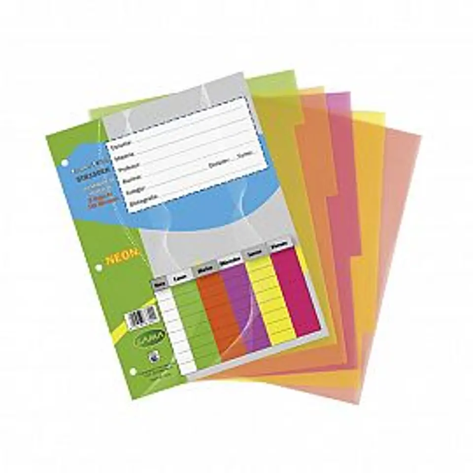 Separador Lama Escolar N°3 Pvc 5 Pos. Neon 1