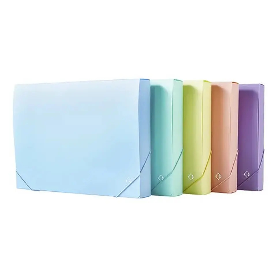 Caja Archivo Lama 2cm Pvc Pastel A4 1
