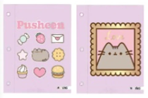 Carpeta Mooving N°3 C/cordon Pusheen (1003207)