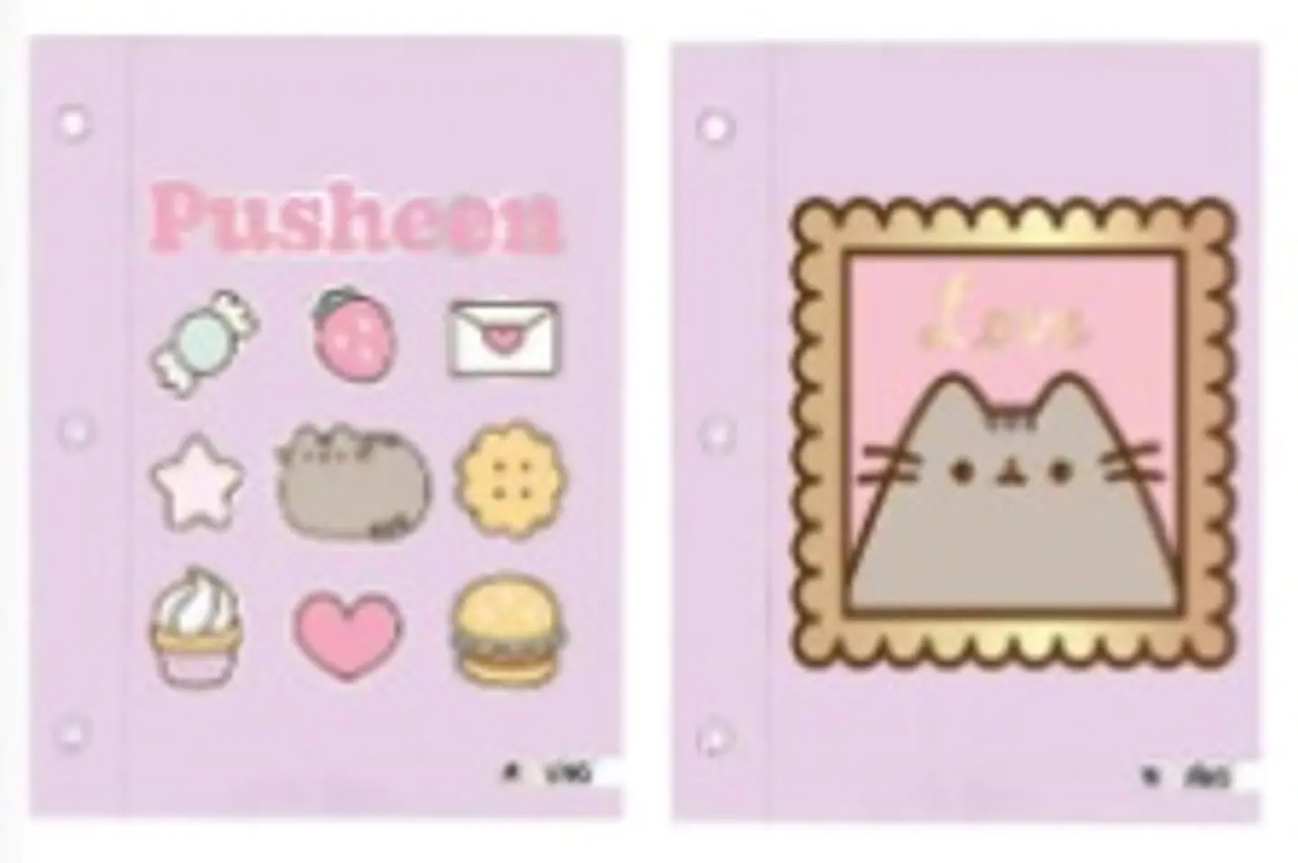 Carpeta Mooving N°3 C/cordon Pusheen (1003207) 1