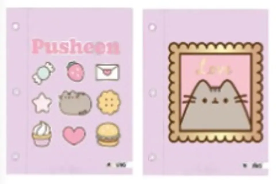 Carpeta Mooving N°3 C/cordon Pusheen (1003207) 1
