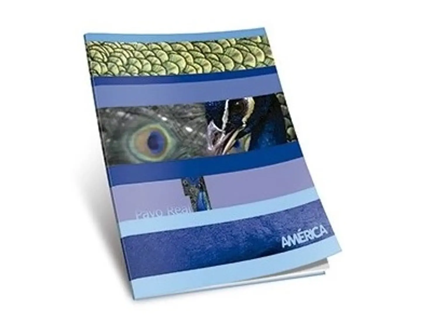 Cuaderno America Tapa Flexible 86 Hojas Cuadriculado 1