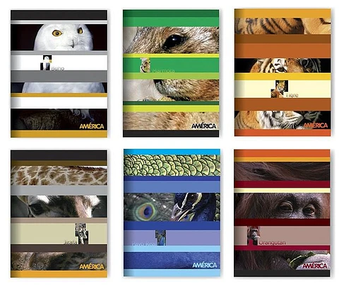 Cuaderno America Tapa Flexible 24 Hojas Liso