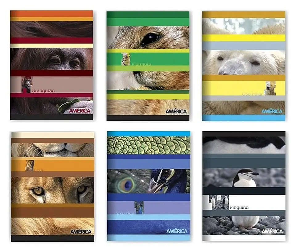 Cuaderno America Tapa Flexible 48 Hojas Liso 1