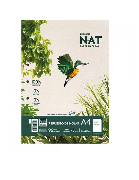 Repuesto Exito Natural A4 96 Hojas Rayado