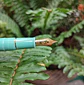 SAILOR - PG SLIM DRAGON PALACE GOLD TRIM 14K NIB - Miniatura 5
