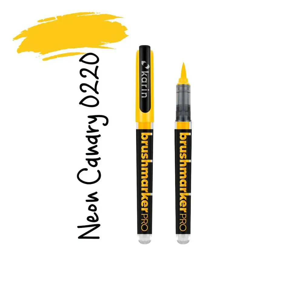Karin BrushmakerPRO - elegir 2 6