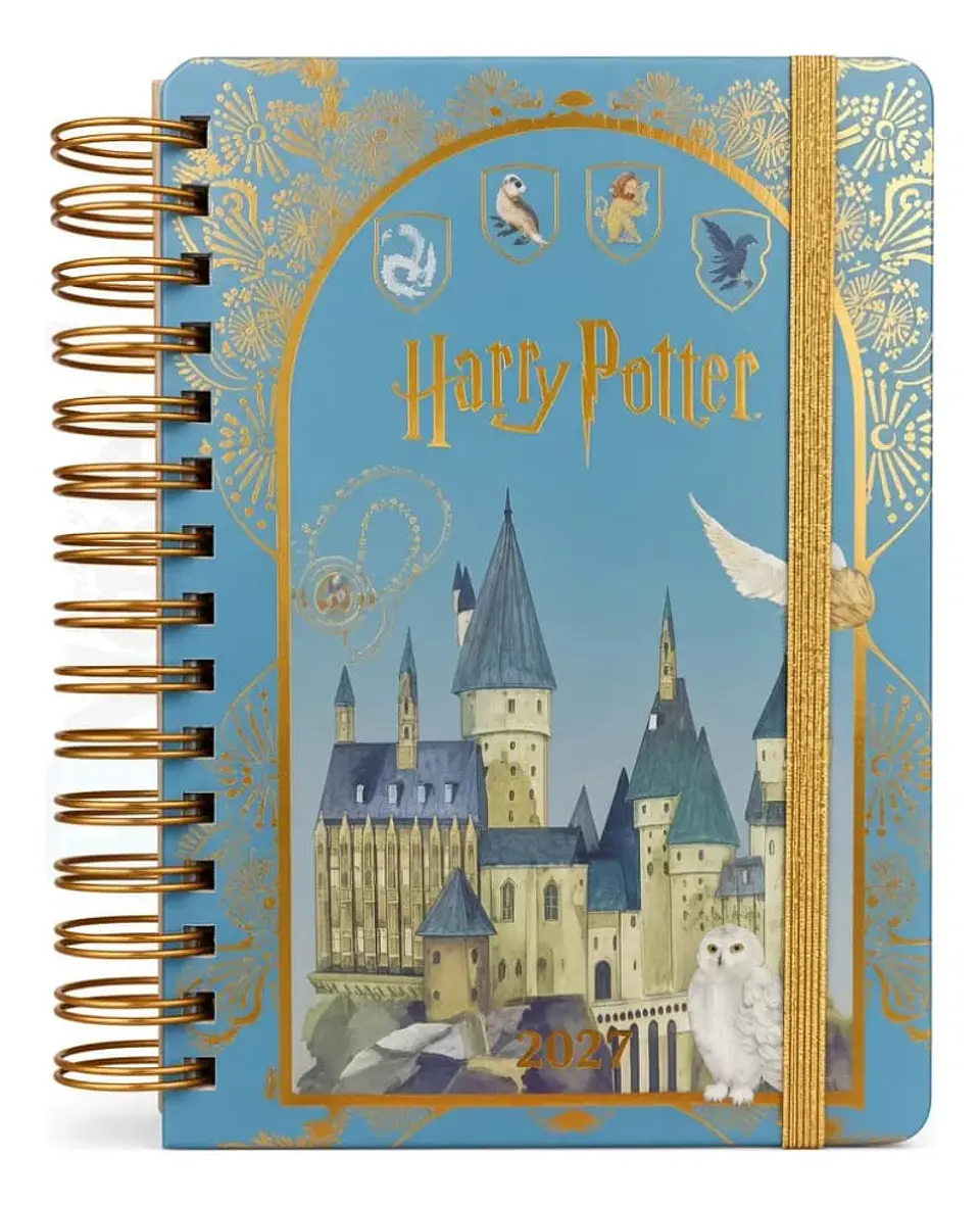 Agenda 2027 – A5 Harry Potter 1