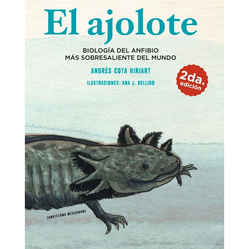 El Ajolote 1