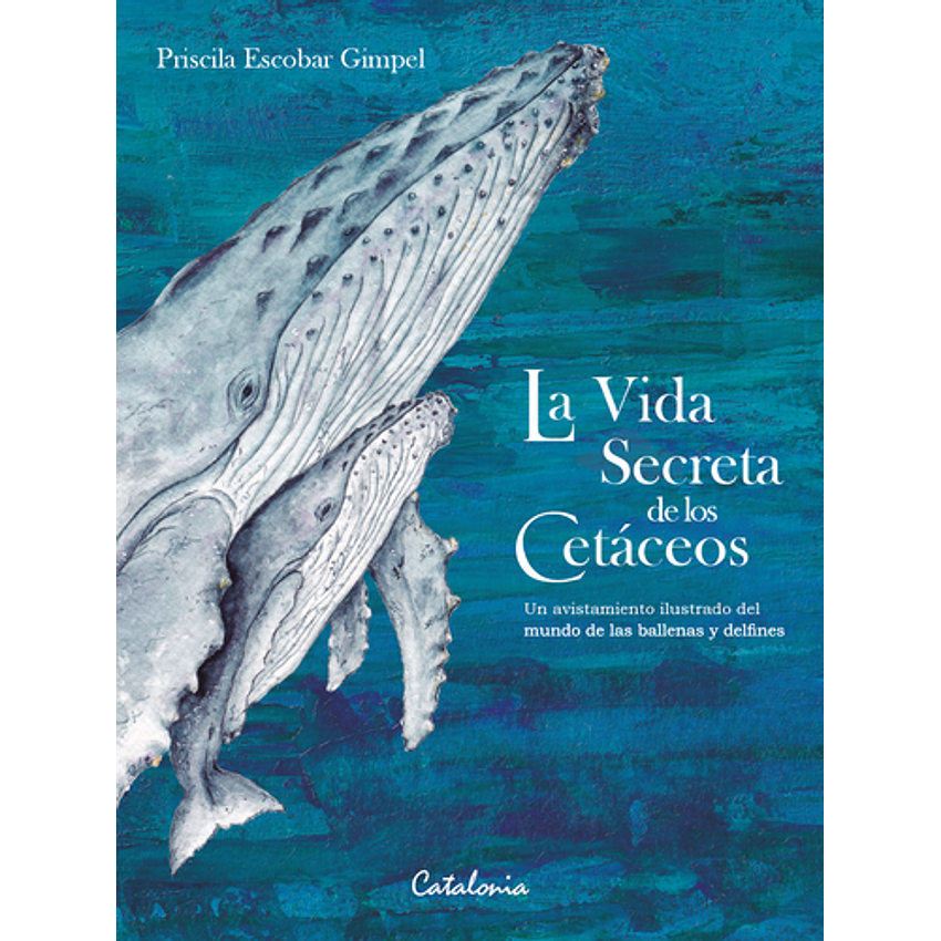 La Vida Secreta De Los Cetaceos 1