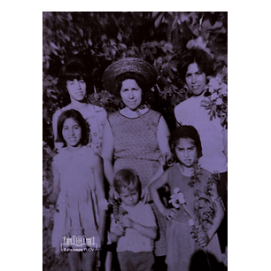 Abriendo Caminos: Una Historia Cultural De La Mujer Del Campo Chileno En El Siglo Xx