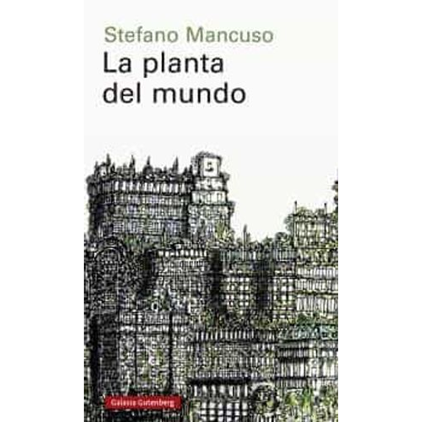 La Planta Del Mundo 1