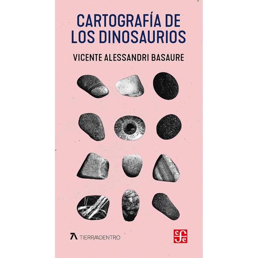 Cartografía De Los Dinosaurios 1