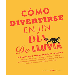 Como Divertirse En Un Dia De Lluvia