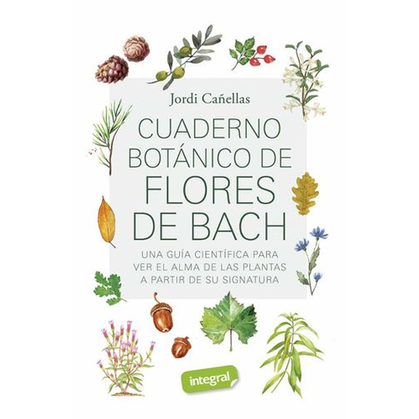 Cuaderno Botanico De Flores De Bach 1