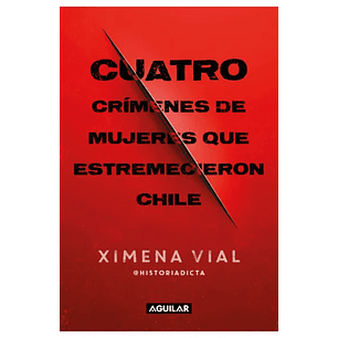 Cuatro Crímenes De Mujeres Que Estremecieron Chile