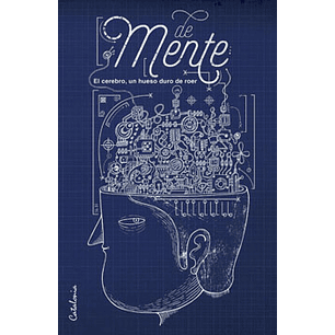 Demente El Cerebro Un Hueso Duro De Roer