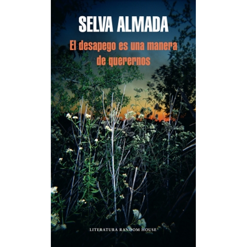 El Desapego Es Una Manera De Querernos 1