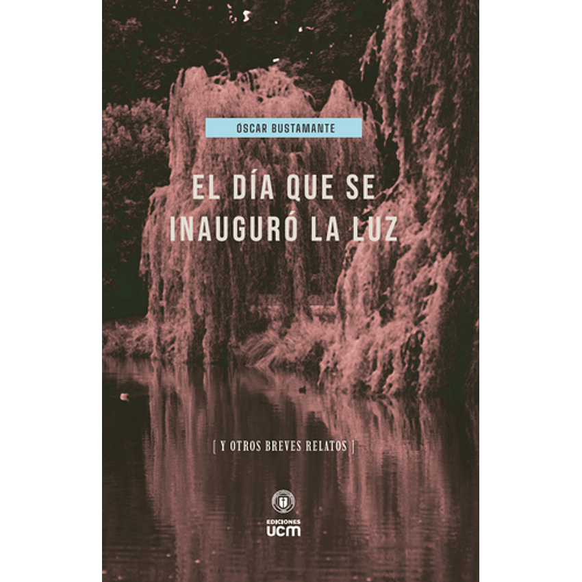 El Dia Que Se Inauguro La Luz 1