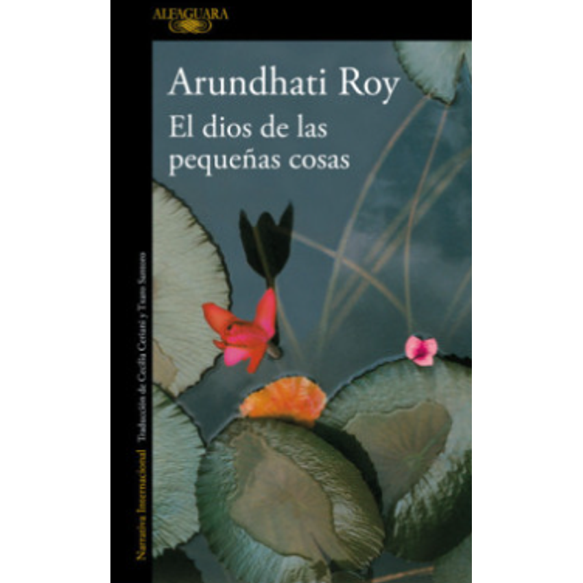 El Dios De Las Pequeñas Cosas 1