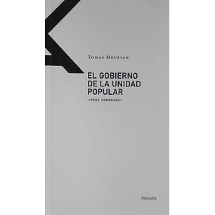 El Gobierno De La Unidad Popular