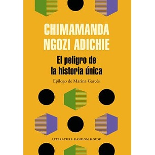 El Peligro De La Historia Unica