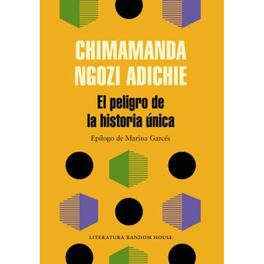 El Peligro De La Historia Unica 1