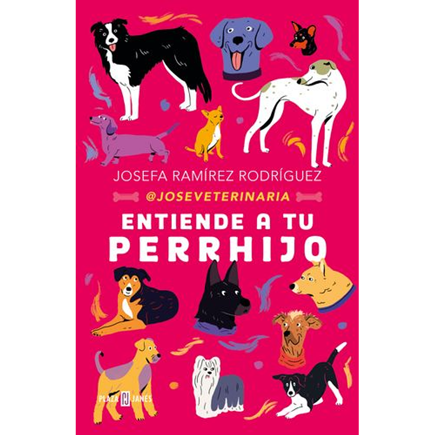 Entiende A Tu Hijo Perrhijo 1