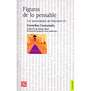 Figuras De Lo Pensable