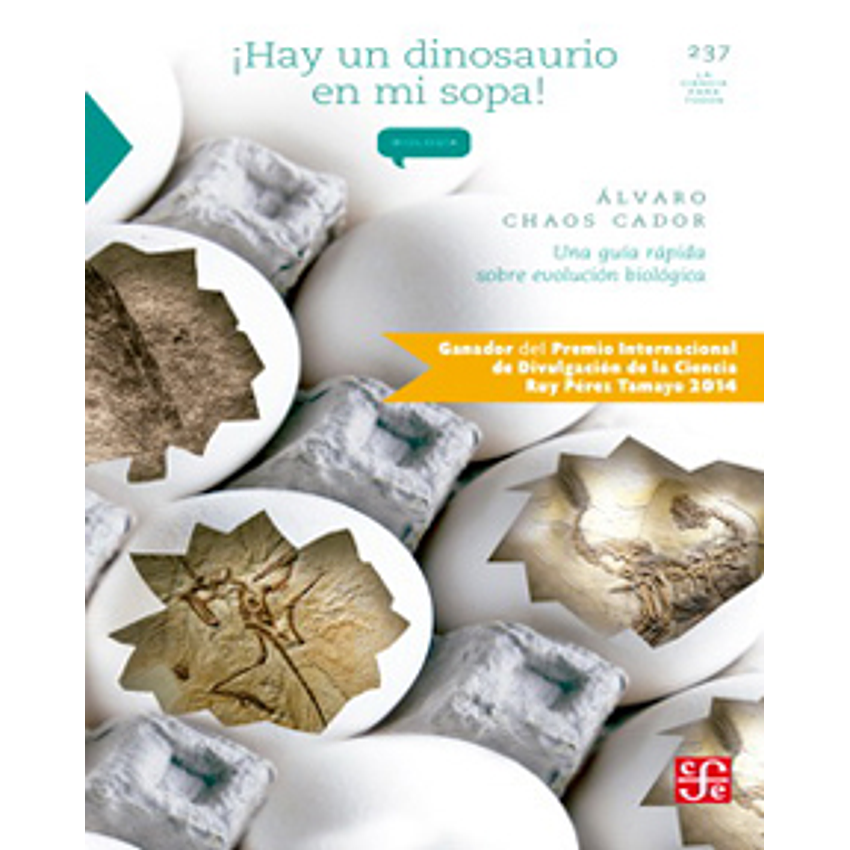 Hay Un Dinosaurio En Mi Sopa 1