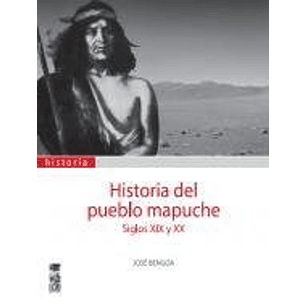 Historia Del Pueblo Mapuche Siglos Xix Y Xx