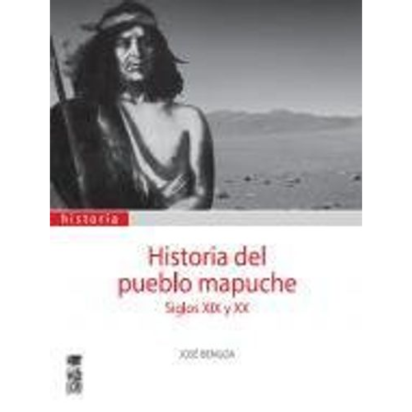 Historia Del Pueblo Mapuche Siglos Xix Y Xx 1