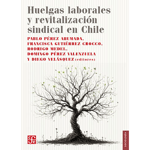 Huelgas Laborales Y Revitalizacion Sindical En Chile