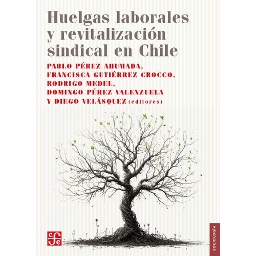Huelgas Laborales Y Revitalizacion Sindical En Chile 1