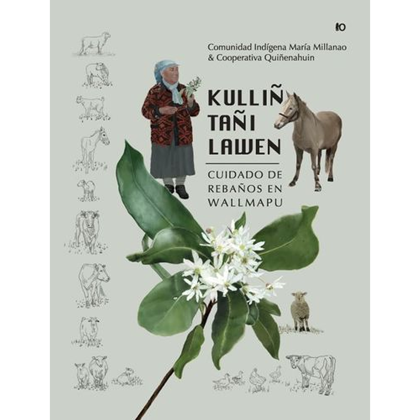 Kulliñ Tañi Lawen Cuidado De Rebaños En Wallmapu 1