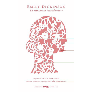 La Miniatura Incandescente (Libros Del Zorro Rojo)