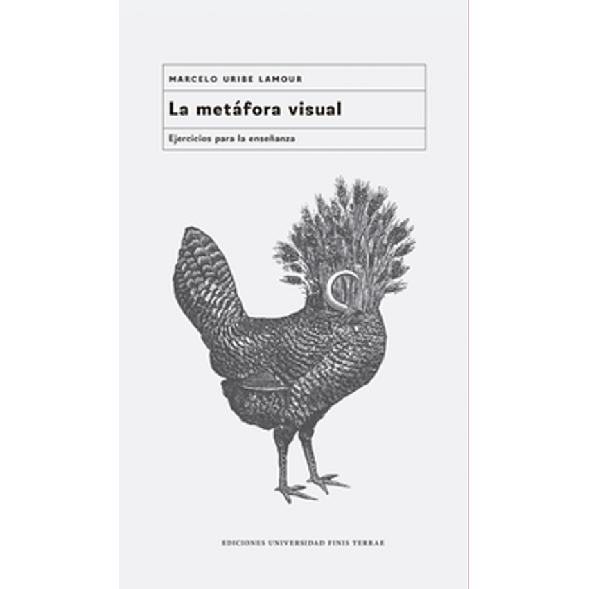 La Metafora Visual 1