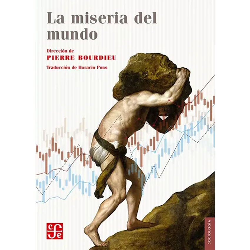 La Miseria Del Mundo 1