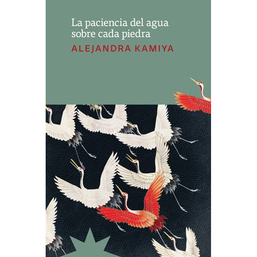 La Paciencia Del Agua Sobre Cada Piedra 1
