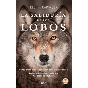 La Sabiduria De Los Lobos