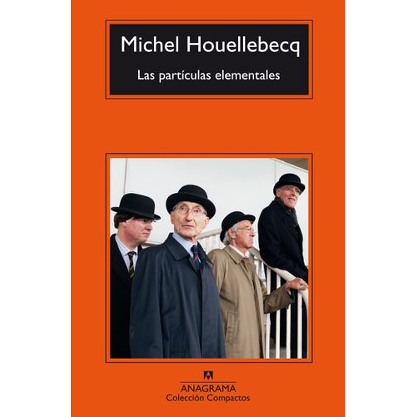 Las Particulas Elementales 1