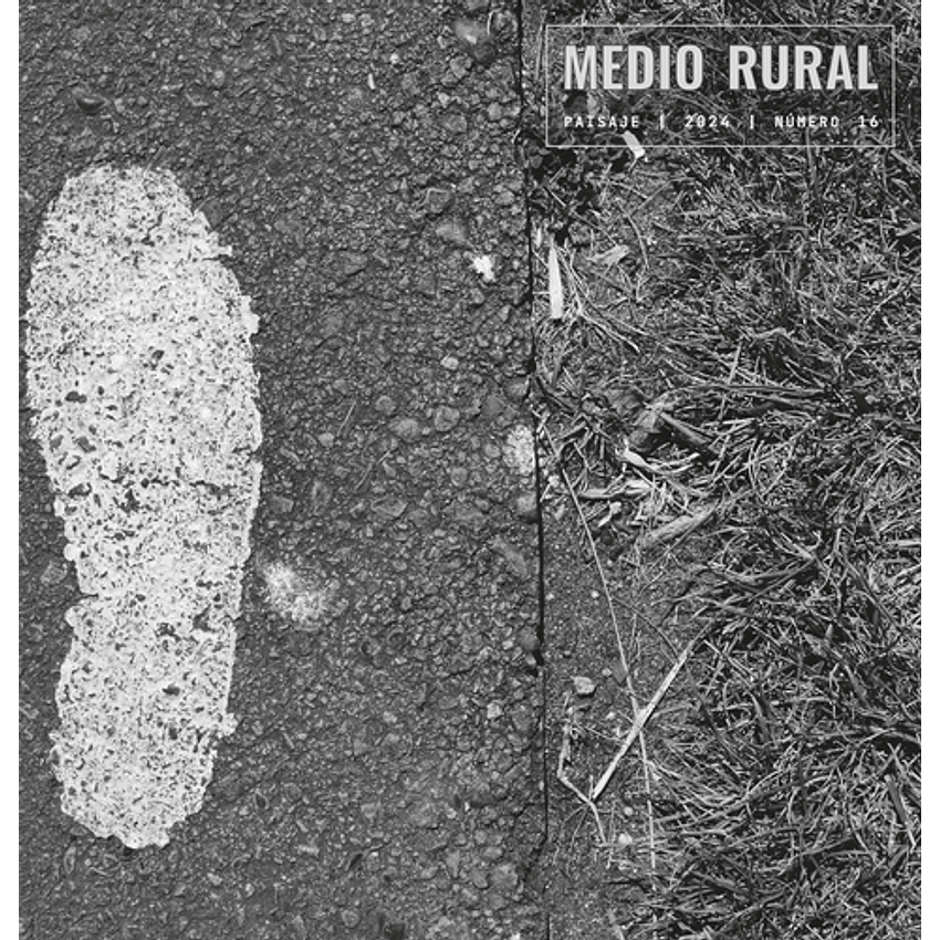 Medio Rural Paisaje 2024 N16 1