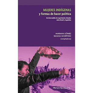 Mujeres Indigenas Y Formas De Hacer Politica