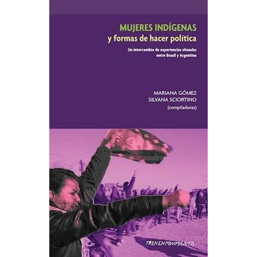 Mujeres Indigenas Y Formas De Hacer Politica 1