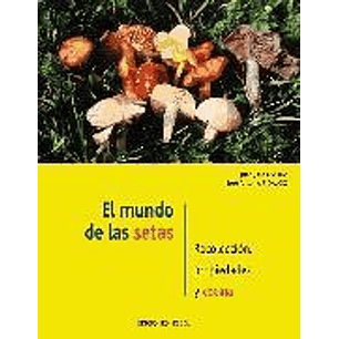 Mundo De Las Setas, El