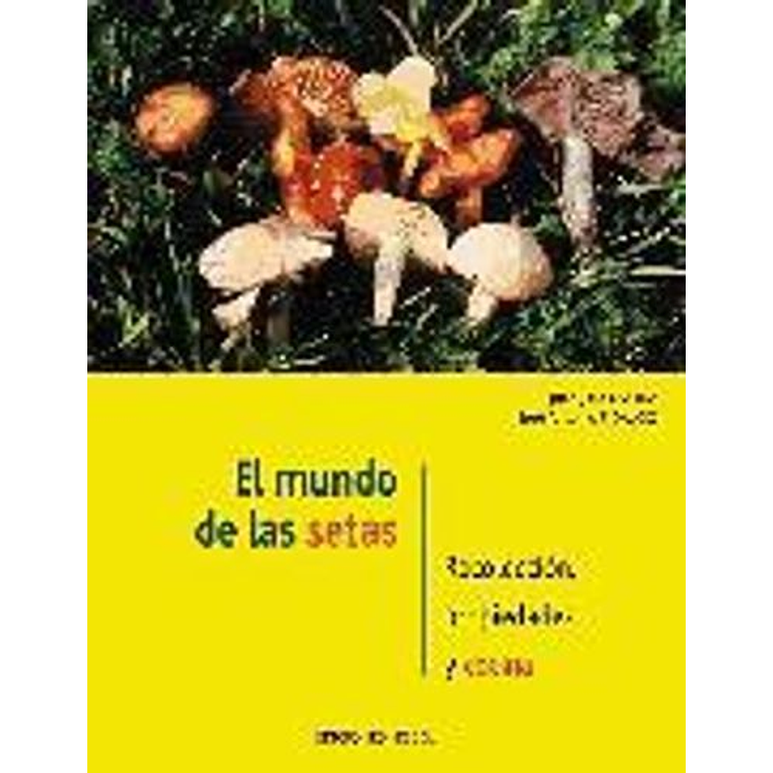 Mundo De Las Setas, El 1