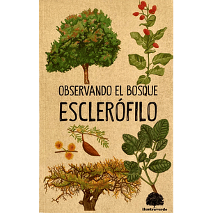 Observando El Bosque Esclerofilo